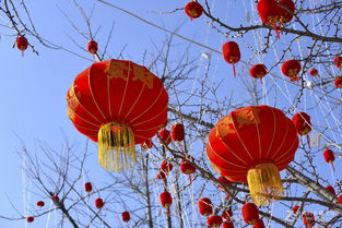 大紅燈籠高高掛